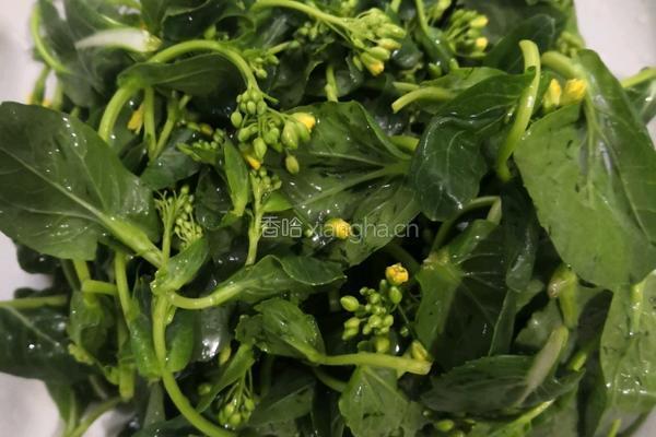 清蒸油菜花苔的做法图解3
