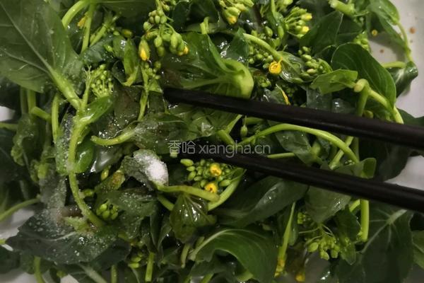 清蒸油菜花苔的做法图解7