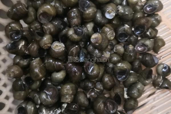 芥兰螺蛳的做法图解8