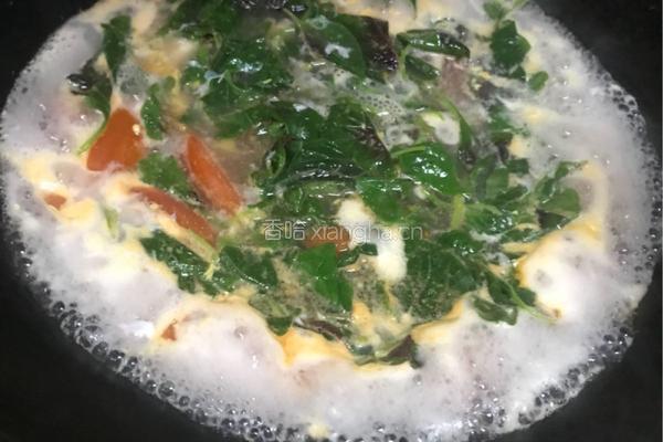 西红柿鸡蛋苋菜汤的做法图解5