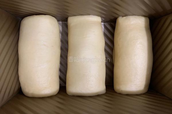 椰子油提子吐司(一次发酵)的做法图解10