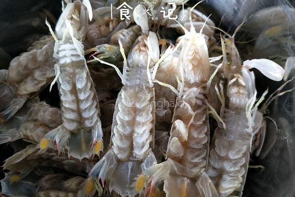 清蒸皮皮虾的做法图解1