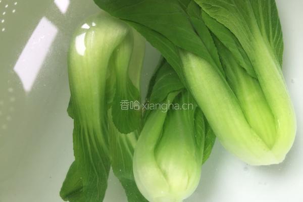 红油抄手的做法图解8