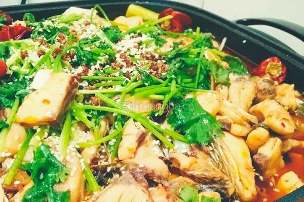 麻辣乌鱼片的做法图解13