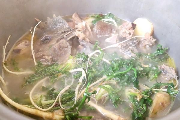 荠菜炖乌骨鸡汤的做法图解13