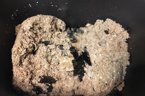 自制海苔肉松的做法图解13