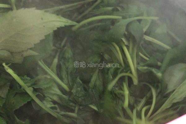 炒孟菜的做法图解6