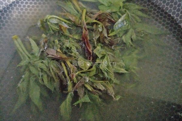 香椿山药炒鸡蛋的做法图解3