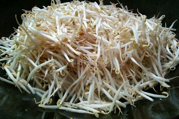 芹菜豆芽炒肉的做法图解4