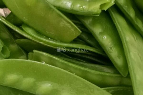 荷兰豆拌双耳的做法图解4