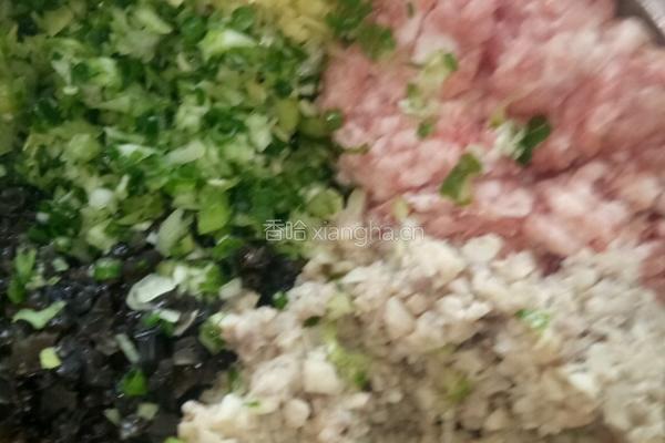 猪肉木耳蘑菇馅馄饨的做法图解6