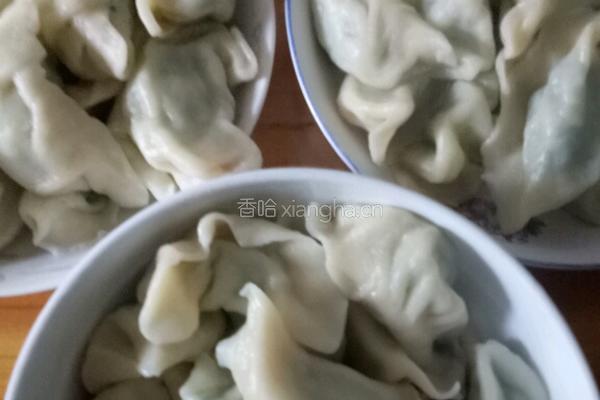 韭菜猪肉馅饺子的做法图解10