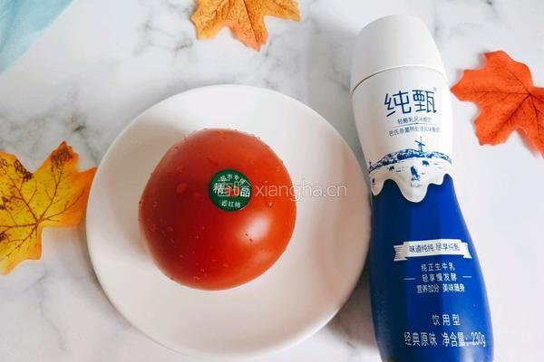 番茄奶昔的做法图解2