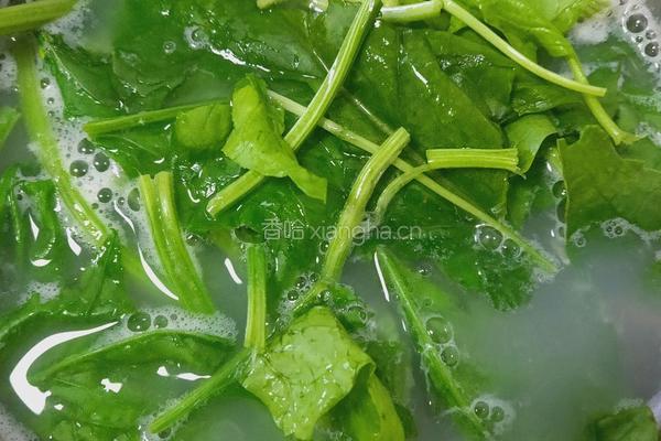 海鲜菠菜粥的做法图解6