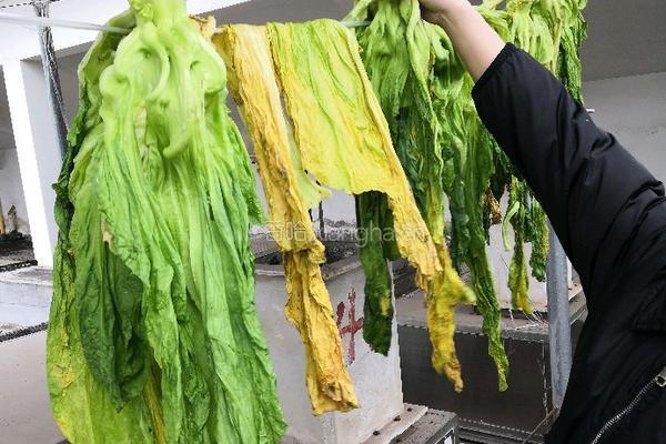 自制酸菜的做法图解1
