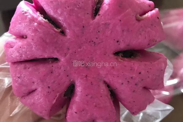 火龙果花型面包
