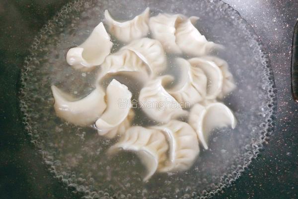芹菜猪肉馅饺子的做法图解17