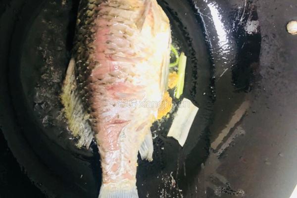 简单方便鲫鱼汤的做法图解2