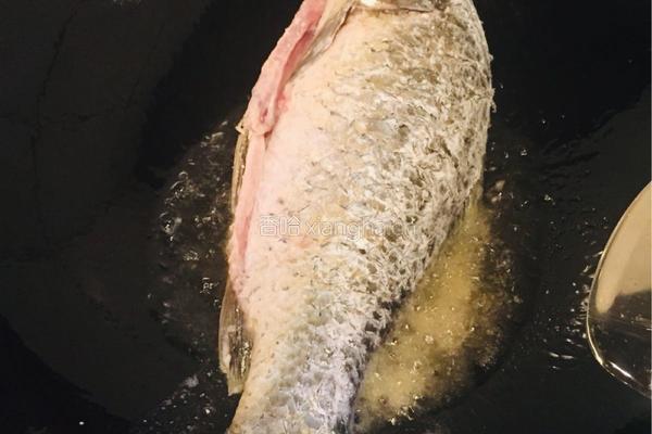 家菜泡椒鲫鱼的做法图解9