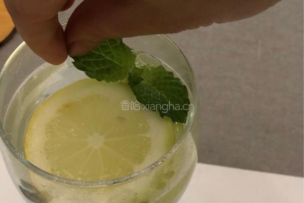 柠檬雪碧薄荷饮的做法图解5