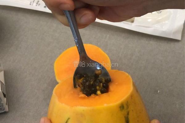木瓜奶冻的做法图解6