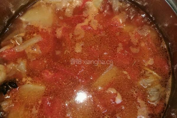 西红柿土豆炖牛腩的做法图解7
