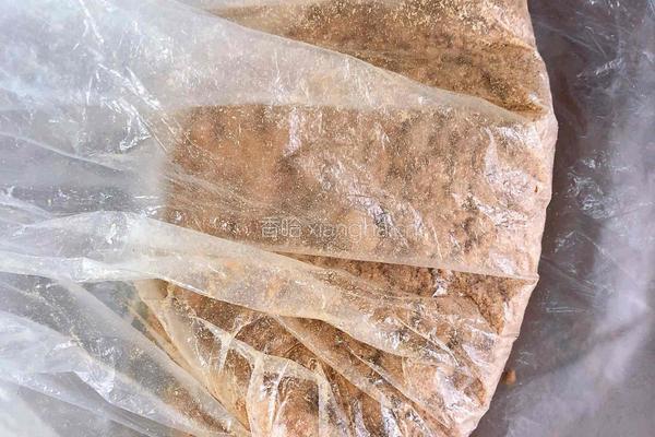 水果酸奶木糠杯的做法图解3