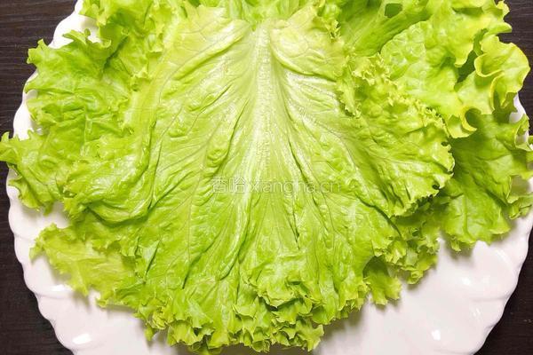 韩式生菜卷培根鲜果的做法图解8