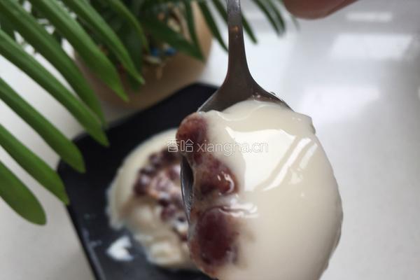 牛奶蜜豆果冻的做法图解14