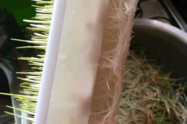 自制麦芽糖的做法图解4