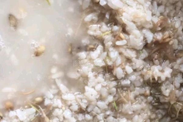 自制麦芽糖的做法图解7