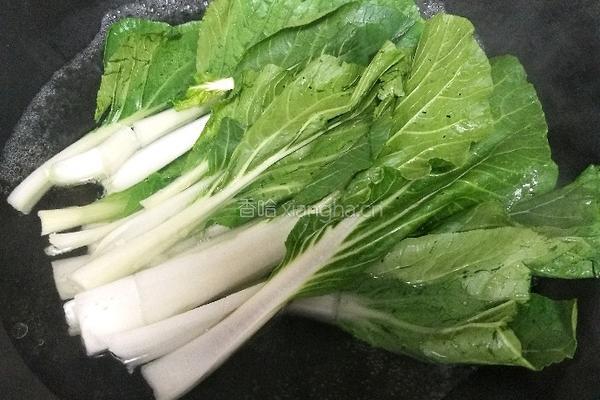 蒜蓉小白菜的做法图解5