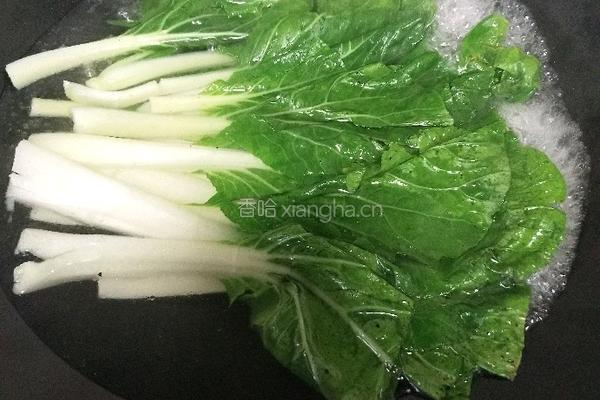 蒜蓉小白菜的做法图解6