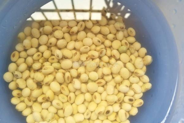 黄豆菜干猪骨汤的做法图解3