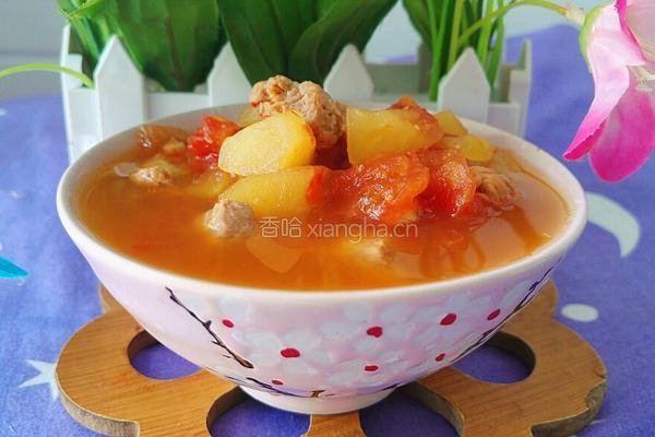 苹果番茄牛肉汤的做法图解13