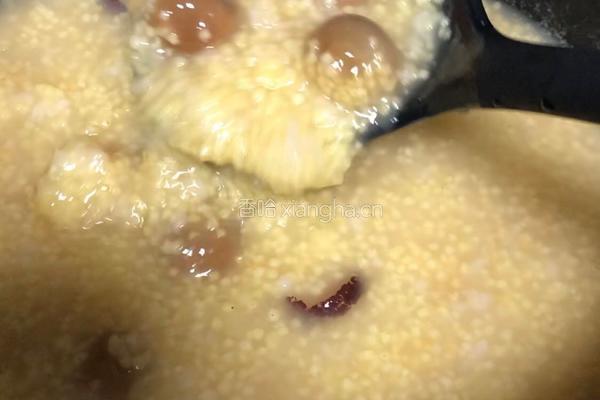 桂圆红枣小米粥的做法图解6
