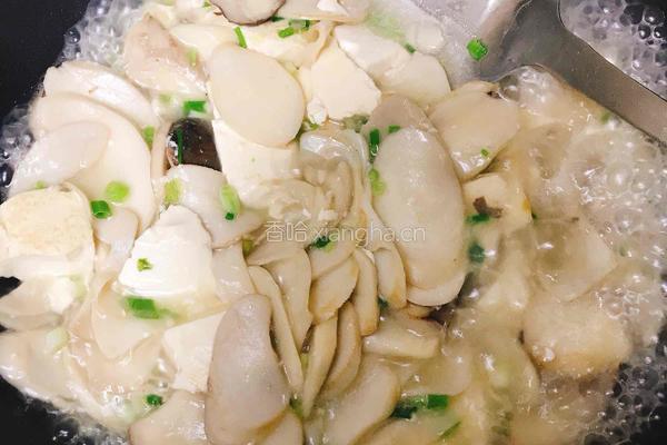 杏鲍菇烧豆腐（低卡低脂）的做法图解6