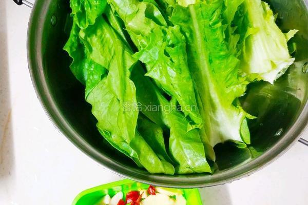 清炒油麦菜的做法图解1