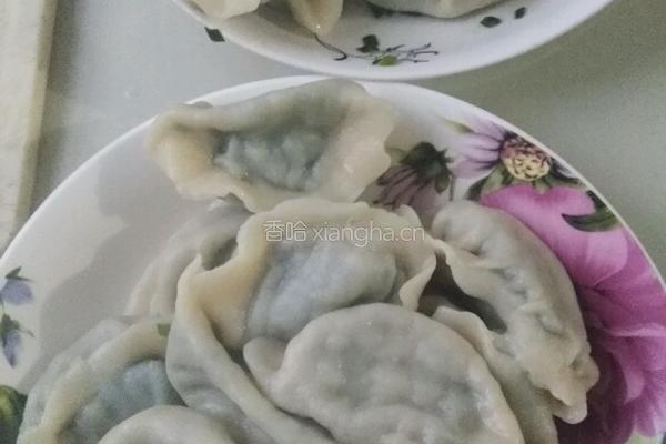 韭菜水饺的做法图解6