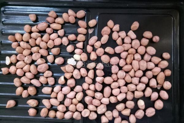 花生蔓越莓牛轧糖的做法图解1