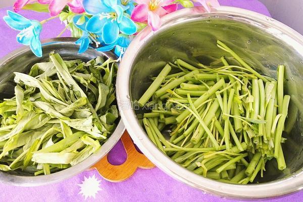 清炒空心菜的做法图解2
