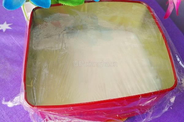 芒果猕猴桃牛奶糕的做法图解12