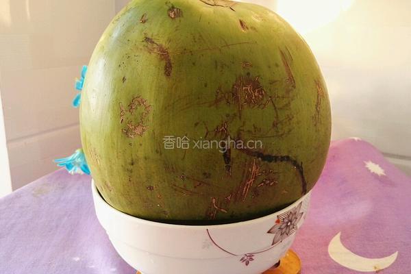 椰子汁番茄鸡汤的做法图解5