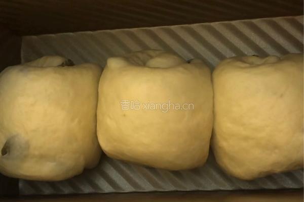 芝麻提子吐司的做法图解7
