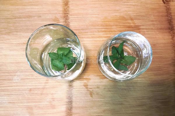 薄荷水果饮的做法图解2