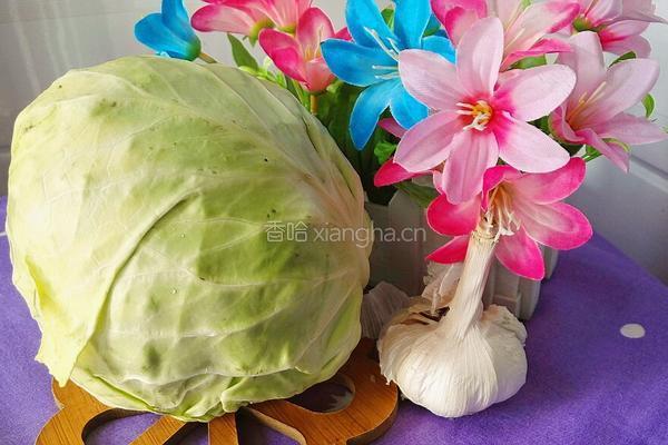 清炒莲花白的做法图解1