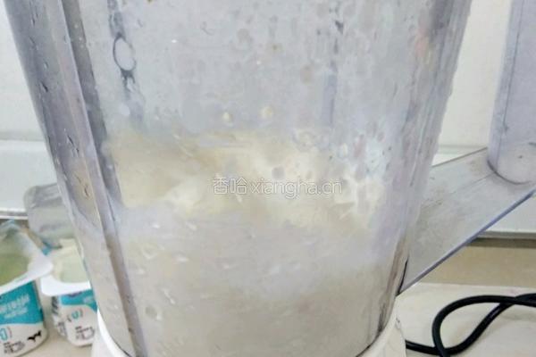 甜瓜酸奶昔的做法图解4