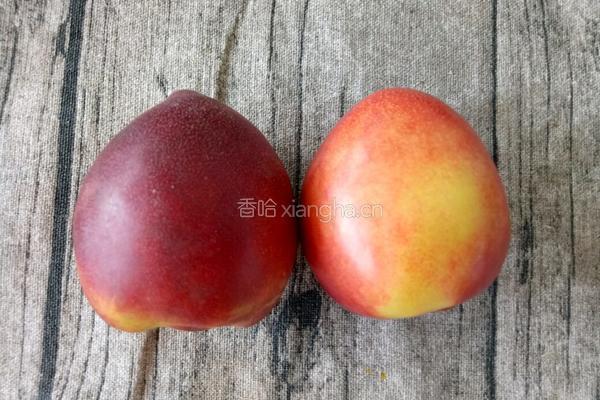 酸奶水果挞的做法图解3