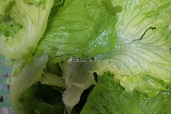 耗油生菜的做法图解2