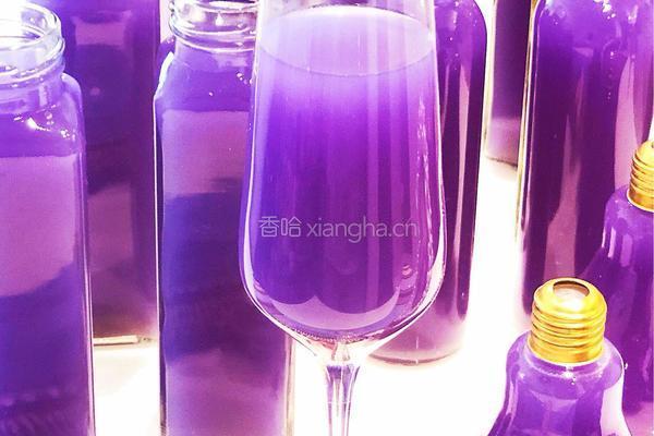 蓝蝴蝶去湿酵素的做法图解8